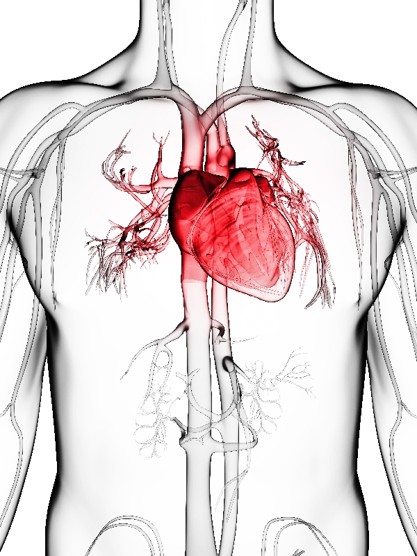 Acute Coronary Syndromes w/out Persistent ST-Segment Elevation